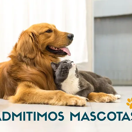 Centro 3000 Appartement