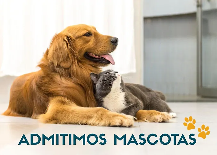 Centro 3000 Διαμέρισμα